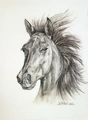 Portret konja (Oglje, 30x40 - 2020) - Jože Anžič